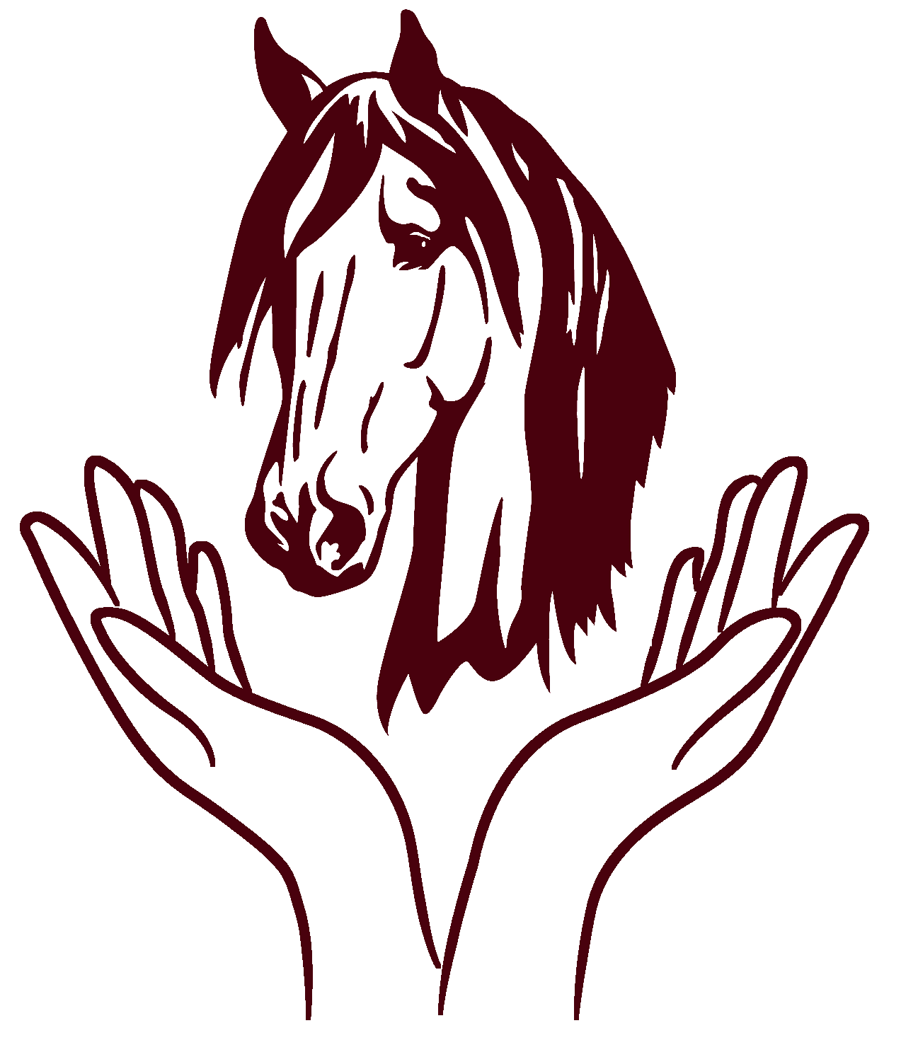 Pferdepraxis Zumbrock